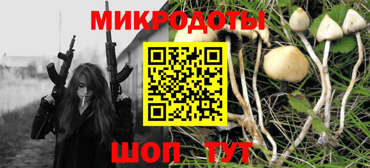 Галлюциногенные грибы мухоморы Новочебоксарск